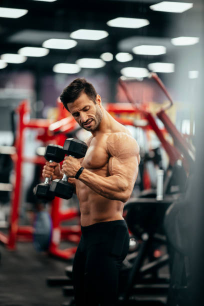 istock Workout. Gym. Weight Training. Bodybuilding. Bodybuilder having training in the gym 1146342918