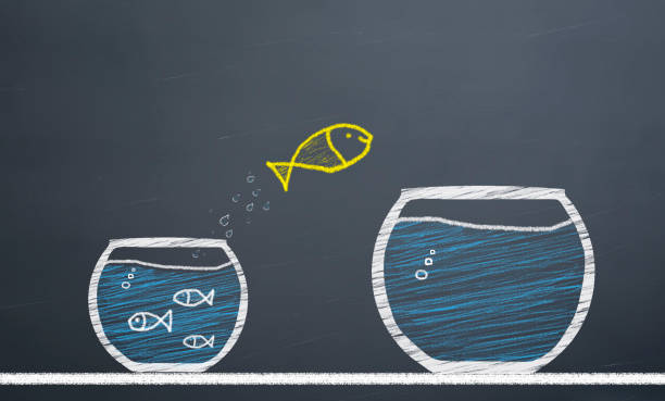 istock innovative concept. fish switch from aquarium to larger aquarium 1146344775