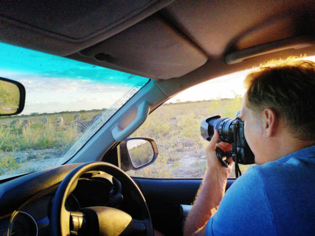 アフリカのサファリの間に彼の車の中でシマウマを撮影する男 - damaraland ストックフォトと画像