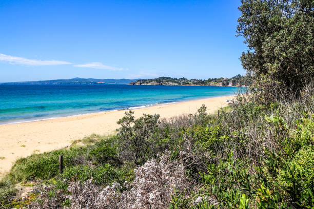 istock View of Aylings beach 1146356295