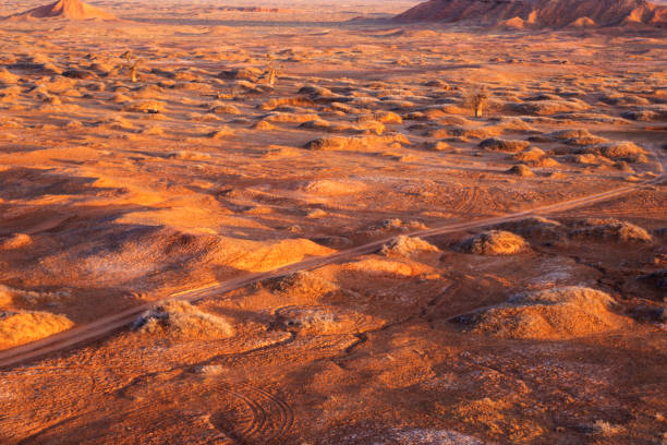 Gobi scenery in the morning.Inner Mongolia, China.