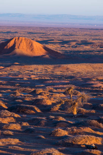 blick auf die wüste gobi bei sonnenaufgang. - inner mongolia stock-fotos und bilder