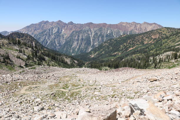 istock White Pine Lake Trail facing Red Baldy in the Wasatch Mountains 1146360412