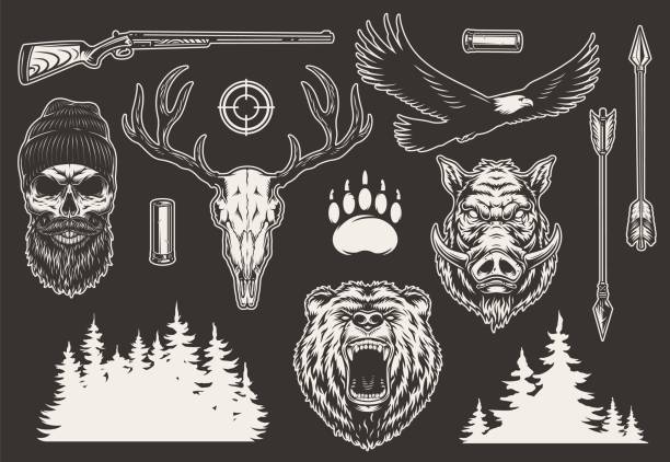 illustrazioni stock, clip art, cartoni animati e icone di tendenza di collezione di elementi da caccia vintage - bear hunting
