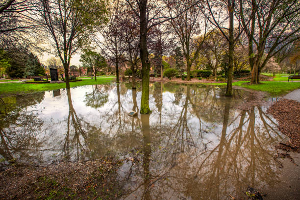 A park in Windsor, Ontario that has flooded due to a high concentration of rain within a short timeline.
