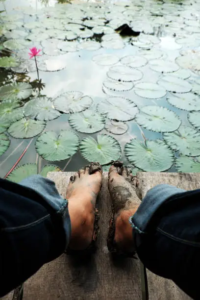 Enjoy summertime at Vietnamese countryside of Mekong Delta, women wear jeans with feet in mud, sit on wooden floor near by water lily  pond, surface of lake full of lily leaves