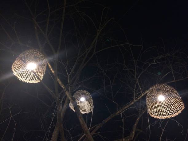 istock Chicken coops used as light lamp on the tree 1146384710