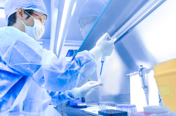 istock The scientist working in the CDC laboratory 1146394903