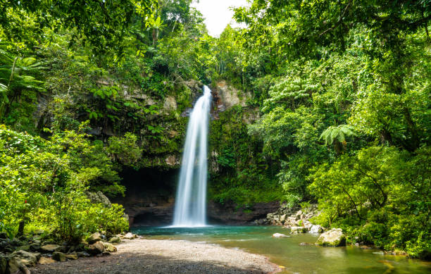 seidiger wasserfall weit - fidschi stock-fotos und bilder