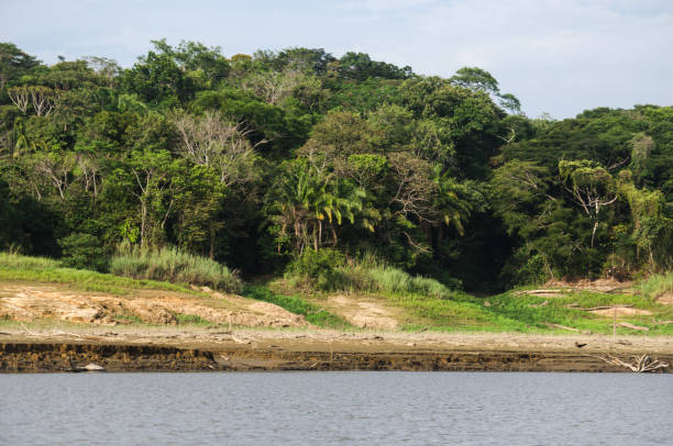 istock Chagres National Park 1146395832