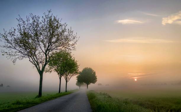 istock Gold in the mist 1146398644