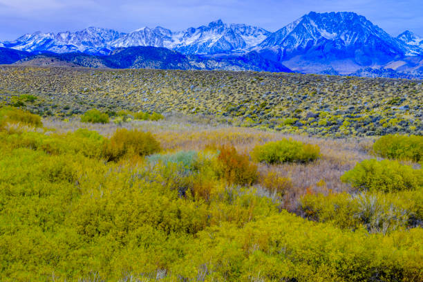 istock Sierra Nevada region in California 1146401901