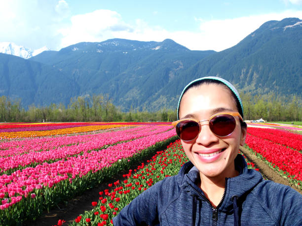 Rows of tulips in spring park.