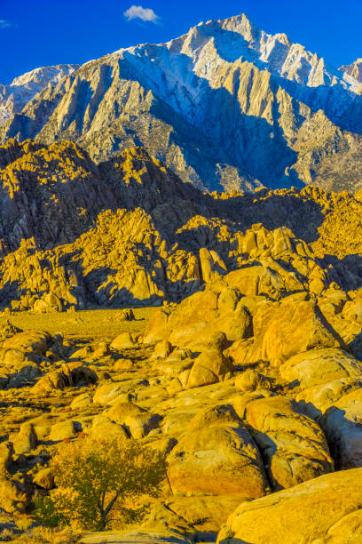 istock Sierra Nevada region in California 1146402090