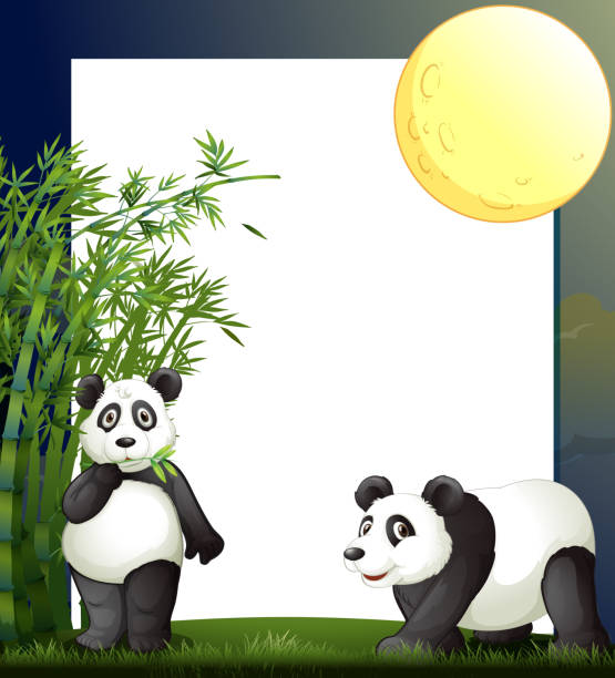 Panda And Bamboo Border Template Stock Illustration - Download Image Now -  Animal, Art, Bamboo - Plant - iStock
