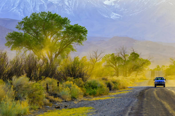 istock Sierra Nevada region in California 1146406787