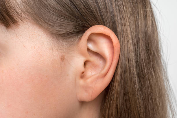Close up of human head with female ear Close up of human head with female ear - listening or deafness concept Earlobe stock pictures, royalty-free photos & images