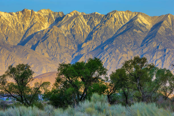 istock Sierra Nevada region in California 1146407913