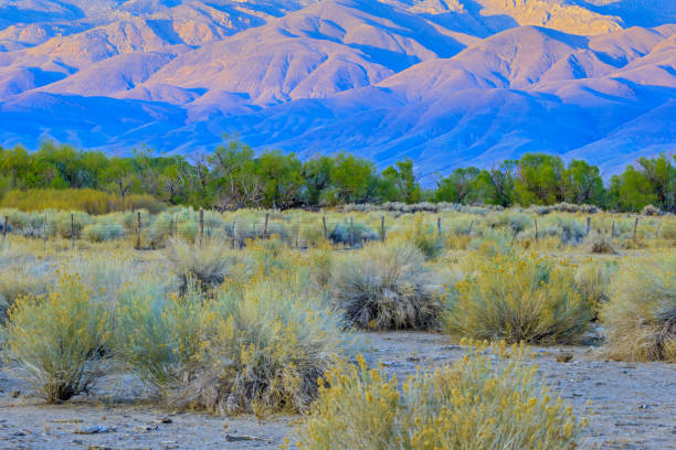 istock Sierra Nevada region in California 1146408432