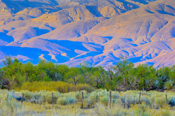 Sierra Nevada region in California