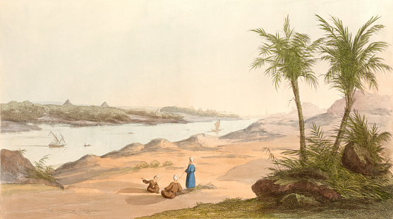 Vintage illustration showing a view of the Pyramids.