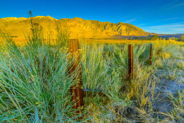 Owens valley and the Sierra Nevada countryside in the state of California