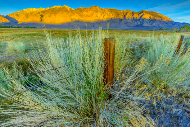 Owens valley and the Sierra Nevada countryside in the state of California