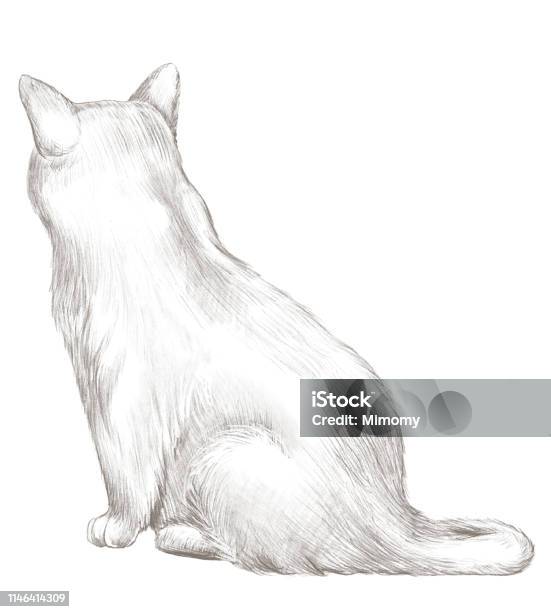 Ilustración de Dibujo A Lápiz Con Gato Gris Sentado y más Vectores Libres  de Derechos de Animal - Animal, Animal doméstico, Arte - iStock
