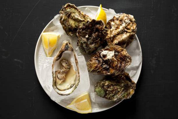 istock Fresh oysters on a plate over black surface, top view. Overhead, flat lay, from above. Close-up. 1146416822