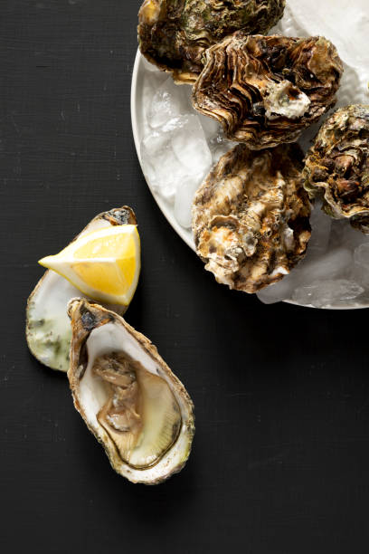 istock Fresh oysters over black background, top view. Overhead, from above, flat lay. Close-up. 1146416857