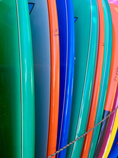 istock Colourful surfboards iined up 1146418746