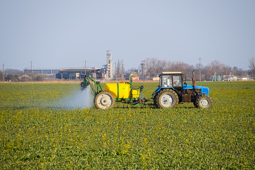 Krasnodar, Russia - April 6, 2018: Tractor fertilizes a canola field, spraying fertilizer with a tractor.