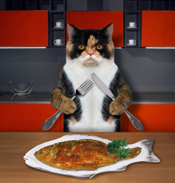 istock Cat near a plate of fried fish 2 1146420242