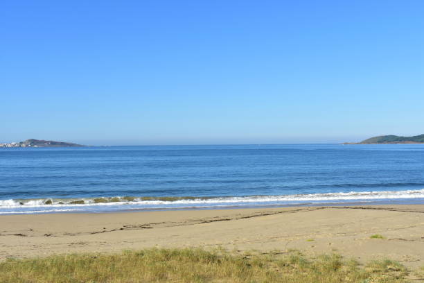 istock Beach with vegetation in sand dunes and waves breaking. Blue sky, sunny day. 1146423539