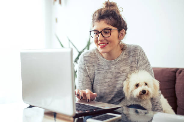 istock Young woman working at her home. She working at lap top 1146423725