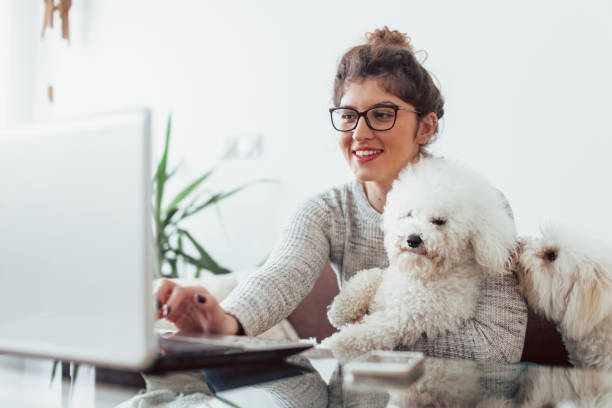 istock Young woman working at her home. She working at lap top 1146424357