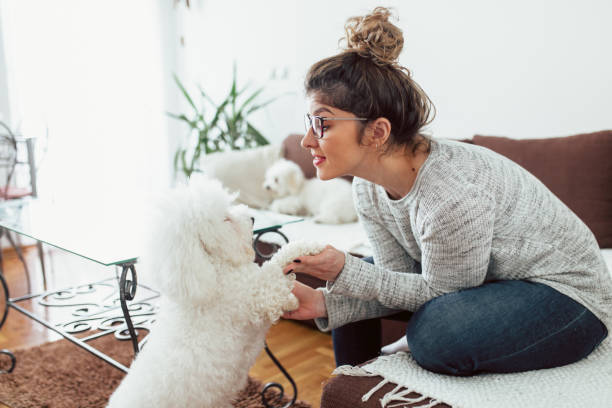 istock Young woman playing her dog at home 1146424363