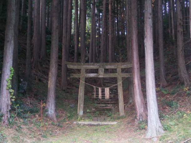 Entrance to the mountain Torii
