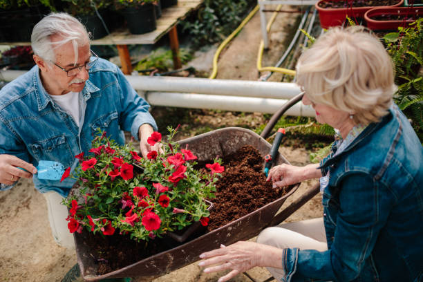 istock Seniors Gardening 1146435615