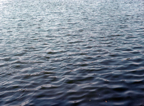istock glare on water in city park pond 1146435626