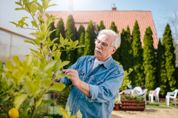 istock Seniors Gardening 1146436605