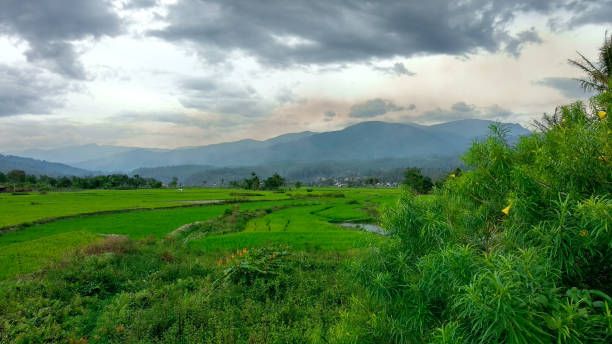 istock Views of green mountains 1146440438