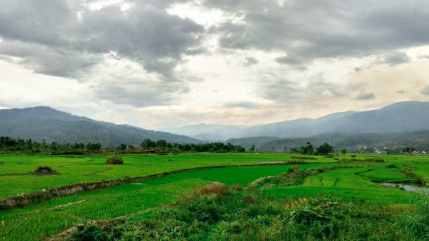 Views of green mountains