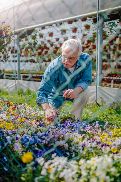 istock Seniors Gardening 1146440474