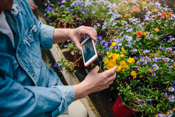 istock Seniors Gardening 1146440798