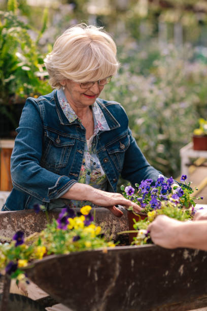 istock Seniors Gardening 1146440807