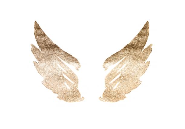 istock Abstract watercolor wings in vintage nostalgic colors 1146440846