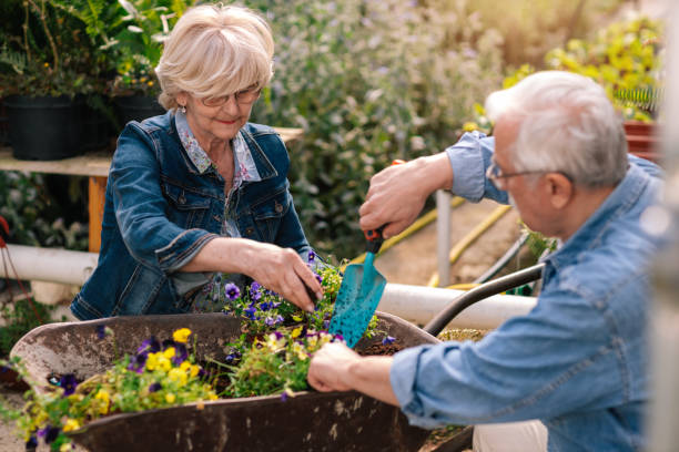 istock Seniors Gardening 1146440863