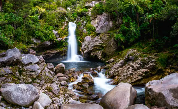 Photo of Beautiful waterfalls in the green nature, Wainui Falls, Abel Tasman, New Zealand.