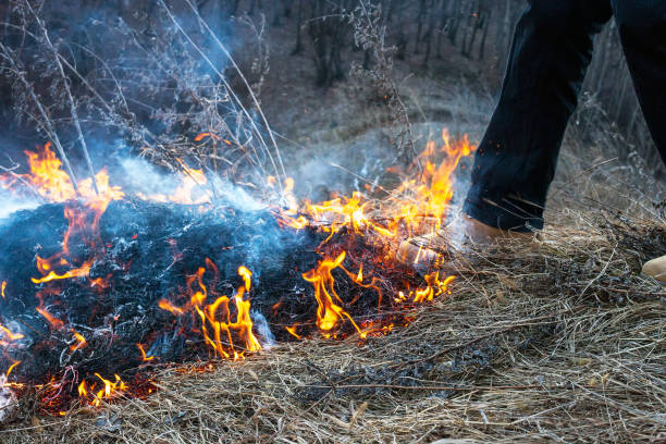 istock Mans foot puts out fire. Grassfire extinguishing concept 1146444952